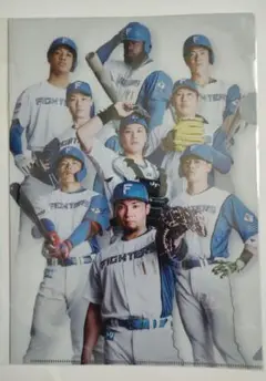 北海道日本ハムファイターズ A4クリアファイル