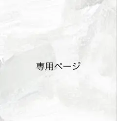 専用ページ