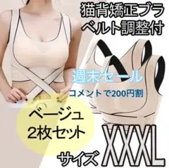 Item thumbnail for item 309557bd-09d6-49ee-a840-53d263a75e28