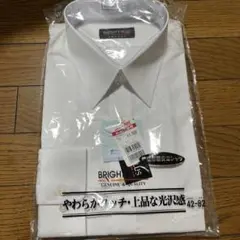 Item thumbnail for item 49d28ed5-0dae-4afb-8537-d3c1639baa07