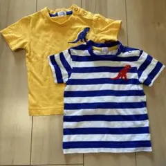 haka baby 恐竜Tシャツ 2枚セット