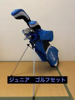 Item thumbnail for item 615249a7-e058-498e-b481-ff5c5f02e229