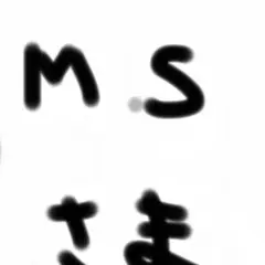 M.S様 先程落札した方がキャンセルを申し出た為、購入されませんか。