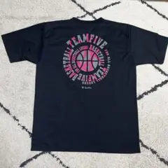 Item thumbnail for item d4186738-798b-4252-92fa-3eac8bf64816