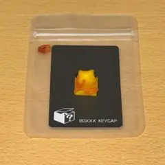 BOXXX KEYCAP THINK_P.Terribilis