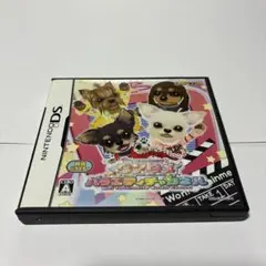 DSソフト　ワンタメ　バラエティチャンネル