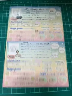 オールマンゲキ　プロフィール帳　切り抜き　例えば炎　cacao たっぺい
