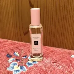 サクラ チェリー ブロッサム コロン