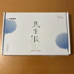時代少年団　2023年 カレンダーセット