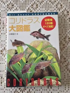 2025年最新】コリドラス 図鑑の人気アイテム - メルカリ