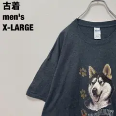 古着 ギルダン Tシャツ シベリアンハスキー ビッグサイズ チャコールグレーXL