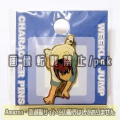 テニプリ 日向 原作絵 ピンズ ピンバッジ 新品未開封