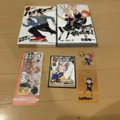 ［ハイキュー‼︎］コンプリートガイドブック排球本！、ショウセツバンⅦ等