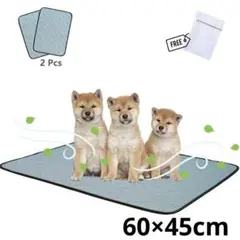 Item thumbnail for item b825ed38-b317-4059-ab25-88cae4c9457d