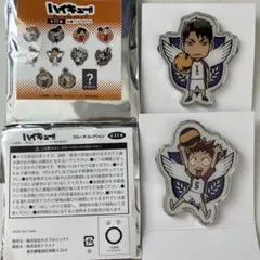 ハイキュー ブローチコレクション D