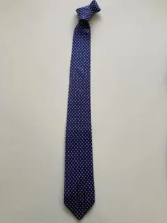 Salvatore Ferragamo ネクタイ