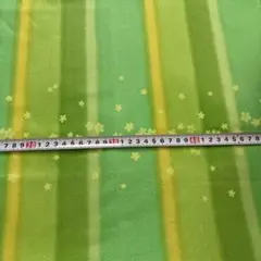 キャシーマム✩.*˚ハワイアンキルト✩.*˚コナニ