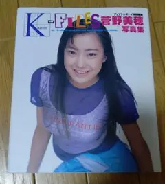 菅野美穂写真集