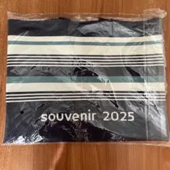 竹内まりや　 ニットトートバッグsouvenir 2025 　ストライプ