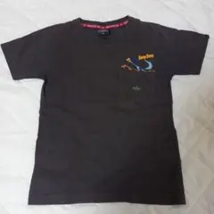 ALPHA INDUSTRIES Tシャツ 150