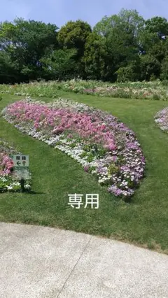 ご確認用