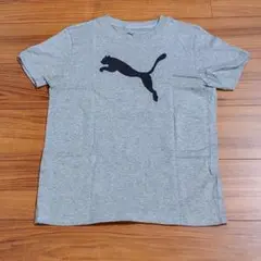 【美品です】PUMA　子供用Tシャツ
