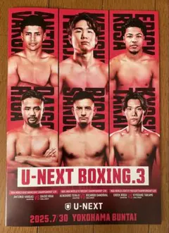 U-NEXT BOXING.3 パンフレット（寺地拳四朗、比嘉大吾）