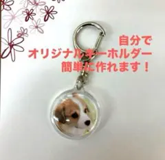 ハメパチ手作りキット 丸形25キーホルダー【3個セット】