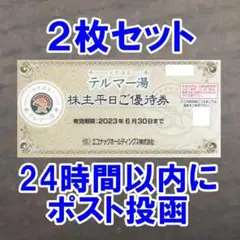 2枚セット・24時間以内に発送☆テルマー湯 エコナック 株主優待券 平日 無料券