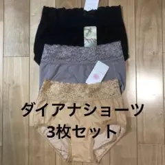 高級補正下着Diana ダイアナ ダイアジェンヌ LL 新品 ショーツ 矯正下着