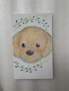 プードル　イラスト