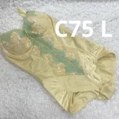 Item thumbnail for item 573480eb-e59a-49cb-b07e-56b27c469e12