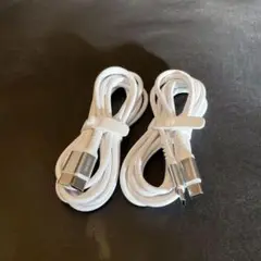 CLUGNU USB-C to USB-Cケーブル 2本セット