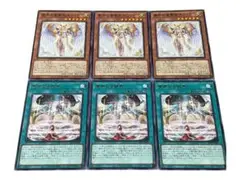 19 遊戯王 粛声の竜賢姫サフィラ 粛声なる結界 字レア6枚