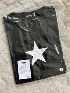 Item thumbnail for item f8e9c259-c5c9-4835-a225-1a73347c11e9