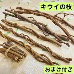 Item thumbnail for item 35d8e917-1a4d-49d8-bd9b-c5d0b2871d60
