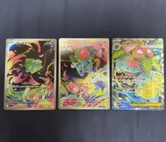 ポケモンカード 特別セット ホロカード3枚