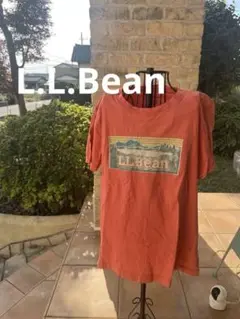 Item thumbnail for item 284c225e-9a50-42af-a7f2-400e653d25ed