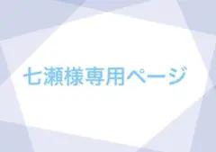 専用ページ