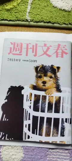 2025年最新】週刊現代 17 7の人気アイテム - メルカリ