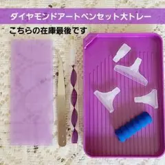 ダイヤモンドアートペンセット大トレー　ダイヤモンドアートツール　新品未使用品