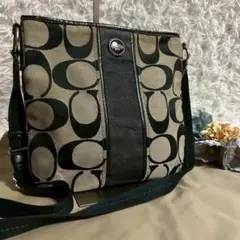 【美品】COACH コーチ ショルダーバッグ シグネチャー ストライプダッフル