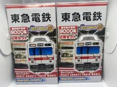 Bトレインショーティー 東急電鉄9000系　2両セット 2箱 Yahoo!オークション -「東急9000」(Bトレインショーティ) (鉄道