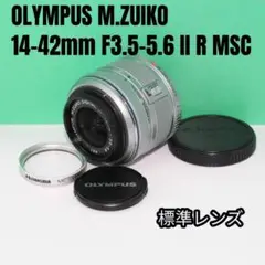 Item thumbnail for item 17a762ec-27a5-41ef-af47-7e5b63c21fd6