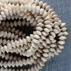 ＊white wood beads