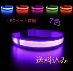 Item thumbnail for item 9270e37a-afe2-4776-a119-0bb6e56402c8