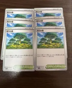活力の森 N×6 まとめ売り