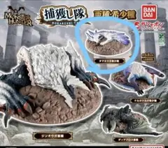 モンハン　捕獲し隊　亜種　希少種　タマミツネ