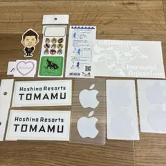 Item thumbnail for item 9aa540e5-243d-41db-b386-cd15fce64256