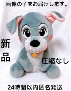 Item thumbnail for item e152e6fa-8767-499a-9810-b19557a43af3